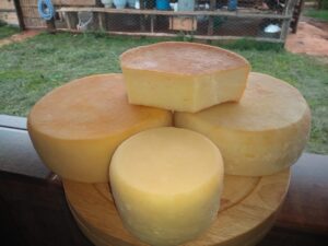 queijaria davo queijo 2